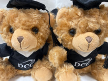 Load image into Gallery viewer, DCU Teddy Bear
