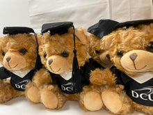 Load image into Gallery viewer, DCU Teddy Bear
