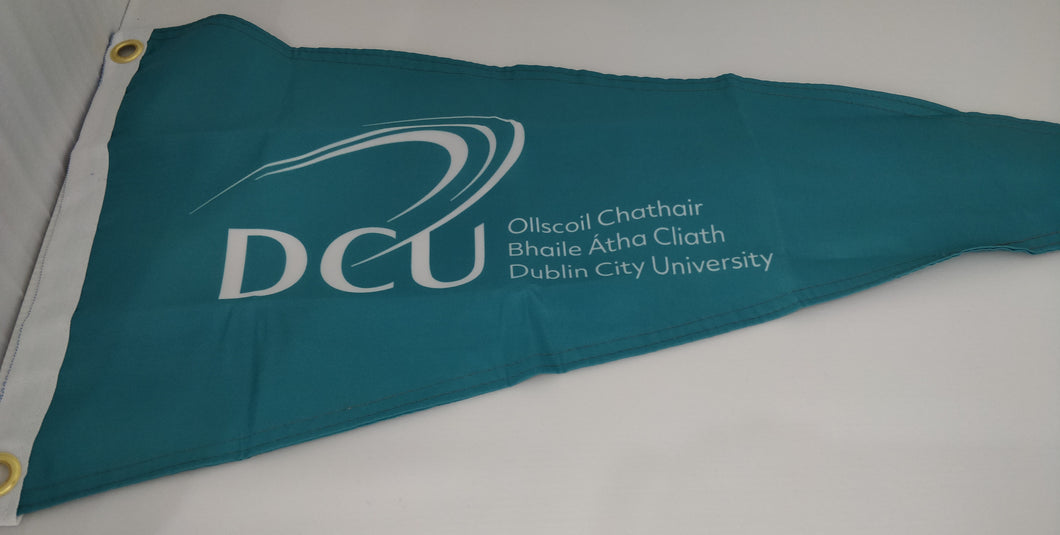 DCU Triangle Pennant